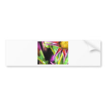 Star Attraction Bumper Sticker