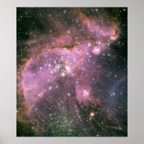 Star cluster NGC 346. posters