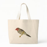 Star Finch (Southern) - Neochmia ruficauda bags