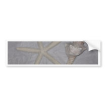 Star Fish and Seashell Bumper Sticker