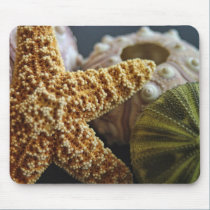 Star Fish and Urchin Still Life mousepads
