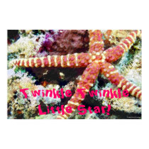 star fish birthday card posters