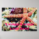 star fish birthday card posters