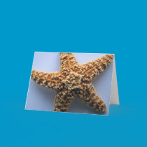 Star Fish Notecard cards