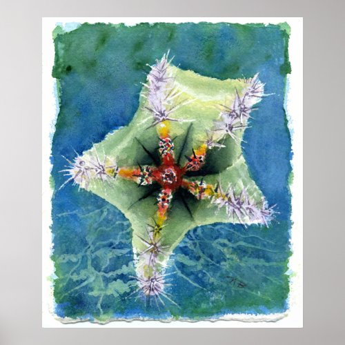 Star Fish print