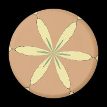 Star Fish Sand Dollar magnets