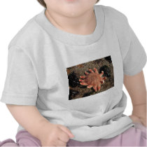 Star Fish T-shirt
