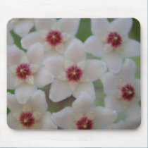 Star Flower mousepads