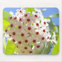 Star Flower Mousepad