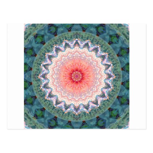 Star flower star February Post Cards