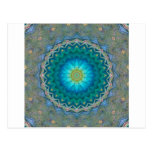 Star flower star Septembers Post Card