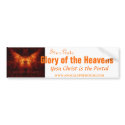 Star Gate: Glory of the Heavens bumper stickers