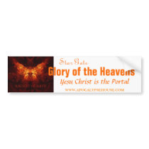 Star Gate: Glory of the Heavens bumper stickers