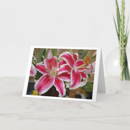 Star Gazer Lily Greeting Card