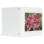 star, gazer, lily, star, gazer, lilies, lilies,