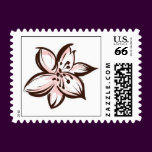 Star Gazer Lily