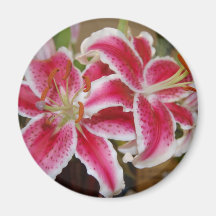 Star Gazer Lily Round Magnet
