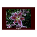 Star Gazer Watercolor posters by skippie Star Gazer Watercolor posters