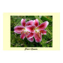 Star Gazers posters by skippie Star Gazers posters
