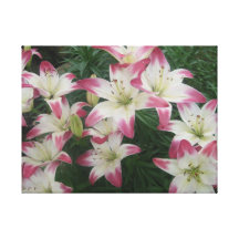 Star Gazing Lillies Canvas Prints