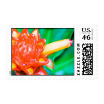 Star Heliconia postage