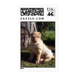 Star In The Morning postage