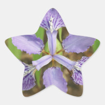 Star Iris Stickers