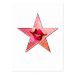 Star Kissed Postcard