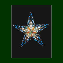 Star LIght #2 postcards