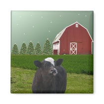 Star Light Calf's Christmas Magnet