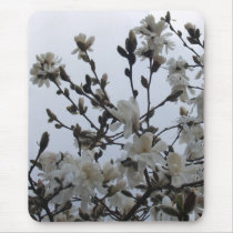 Star Magnolia Blossoms mousepads