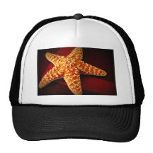 Star Mesh Hats