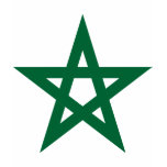 Star Morocco, Morocco T Shirt