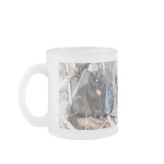 Star Noir by Water mug