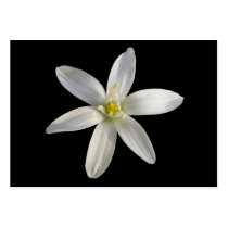 Star of Bethlehem ~ ATC card business cards