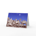 Star of Bethlehem Camels cards