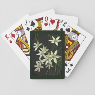 Star of Bethlehem Flower Playing Cards