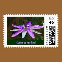 Star of Bristol stamps