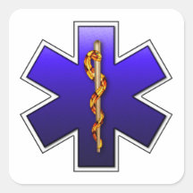 Star of Life Blue Square Stickers