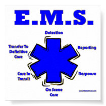 Star Of Life Meaning Poster posters