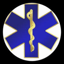Star of Life Sticker stickers