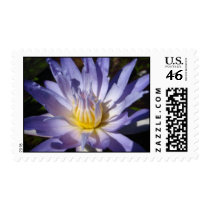 Star of Siam stamps