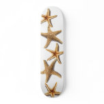 Star of the Sea Skate Boards