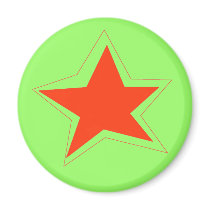 Star of the Week magnet