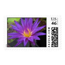 Star of Zanzibar postage