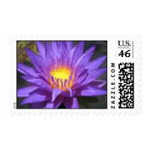 Star of Zanzibar stamps