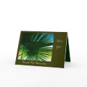 Star Palm cards by livart Star Palm cards