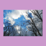 Star Portal to Heaven canvas prints
