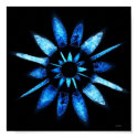 star posters by jzombie star posters
