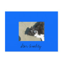 Star Quality postcards by jsimmons77 Star Quality postcards